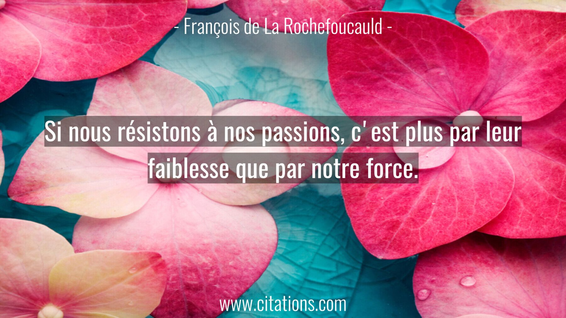 Si nous résistons à nos passions, c'est plus par leur faiblesse que par notre force.