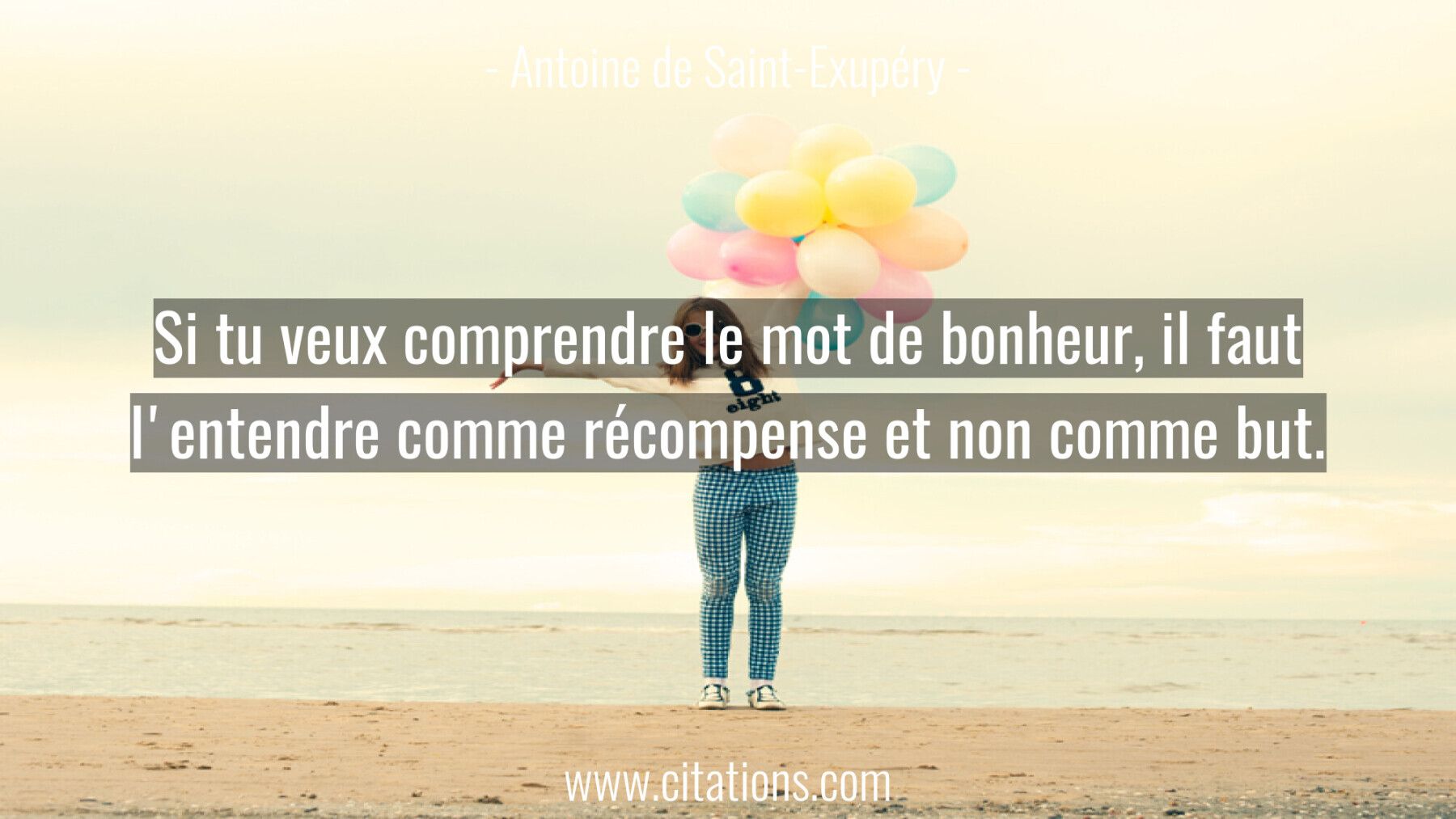 Si tu veux comprendre le mot de bonheur, il faut l'entendre comme récompense et non comme but.