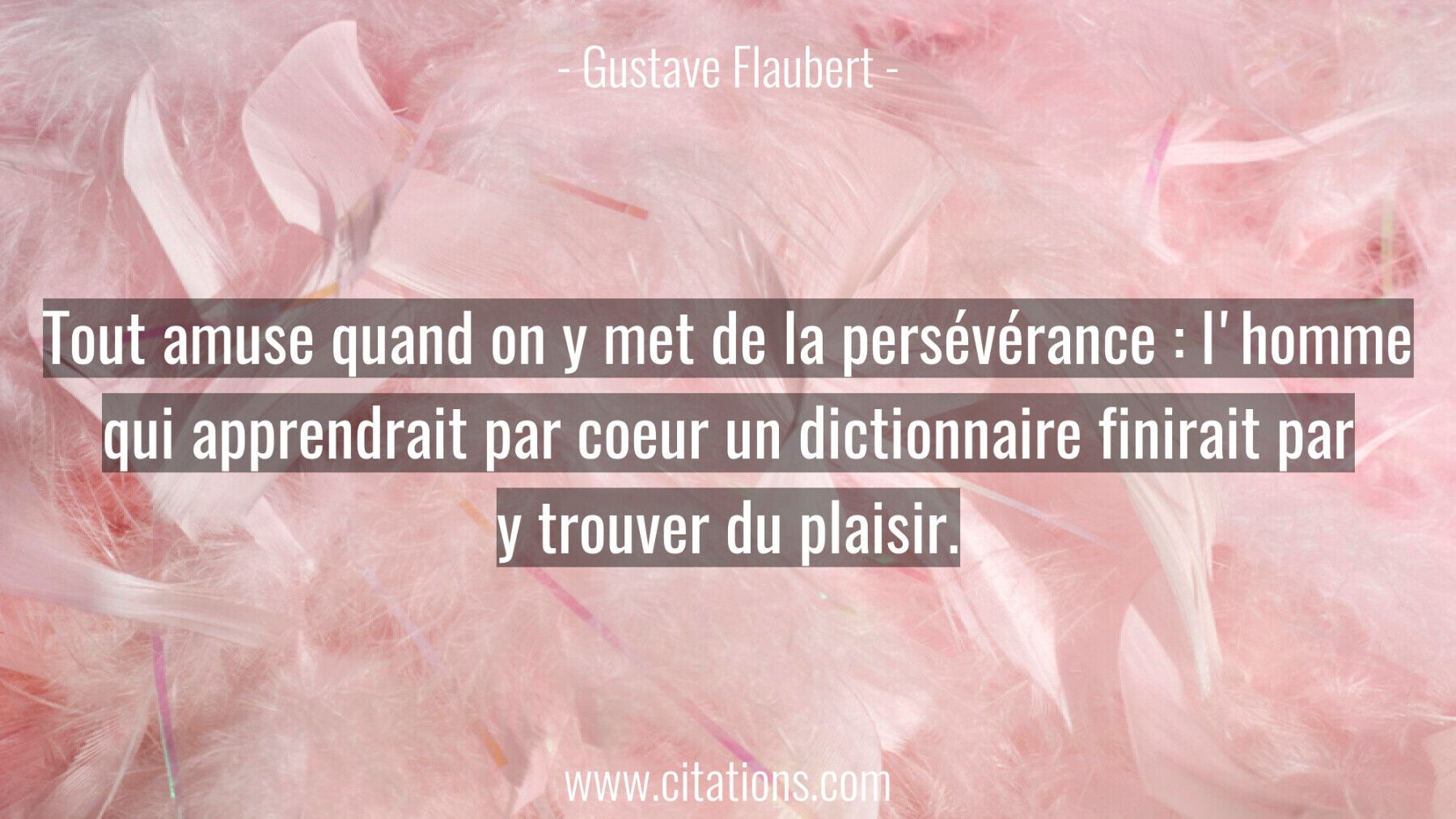 Tout amuse quand on y met de la persévérance : l'homme qui apprendrait par coeur un dictionnaire finirait par y trouver...