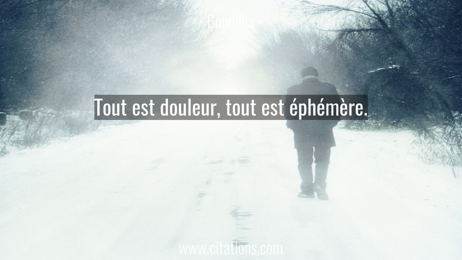 Tout est douleur, tout est éphémère.