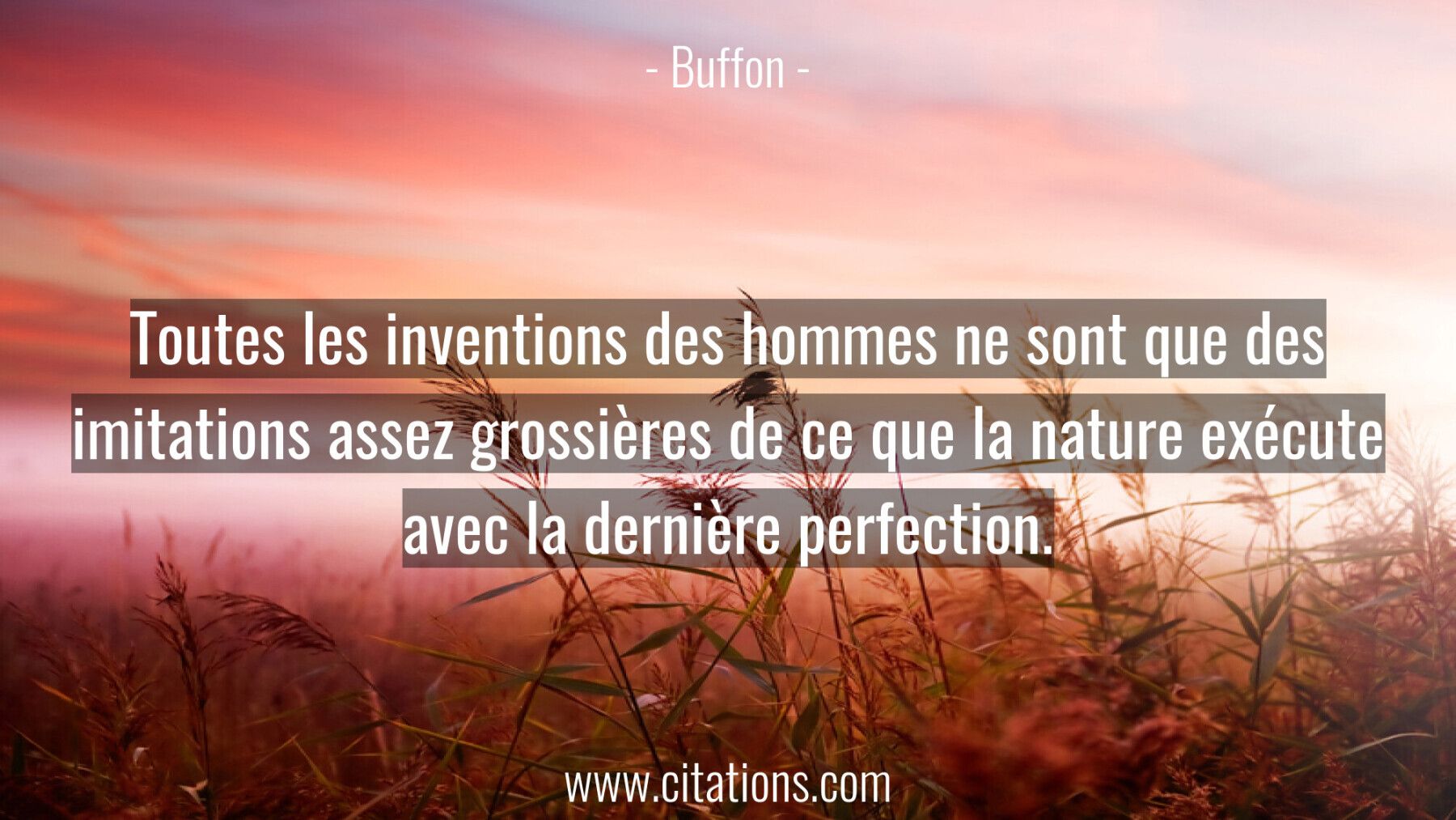Toutes les inventions des hommes ne sont que des imitations