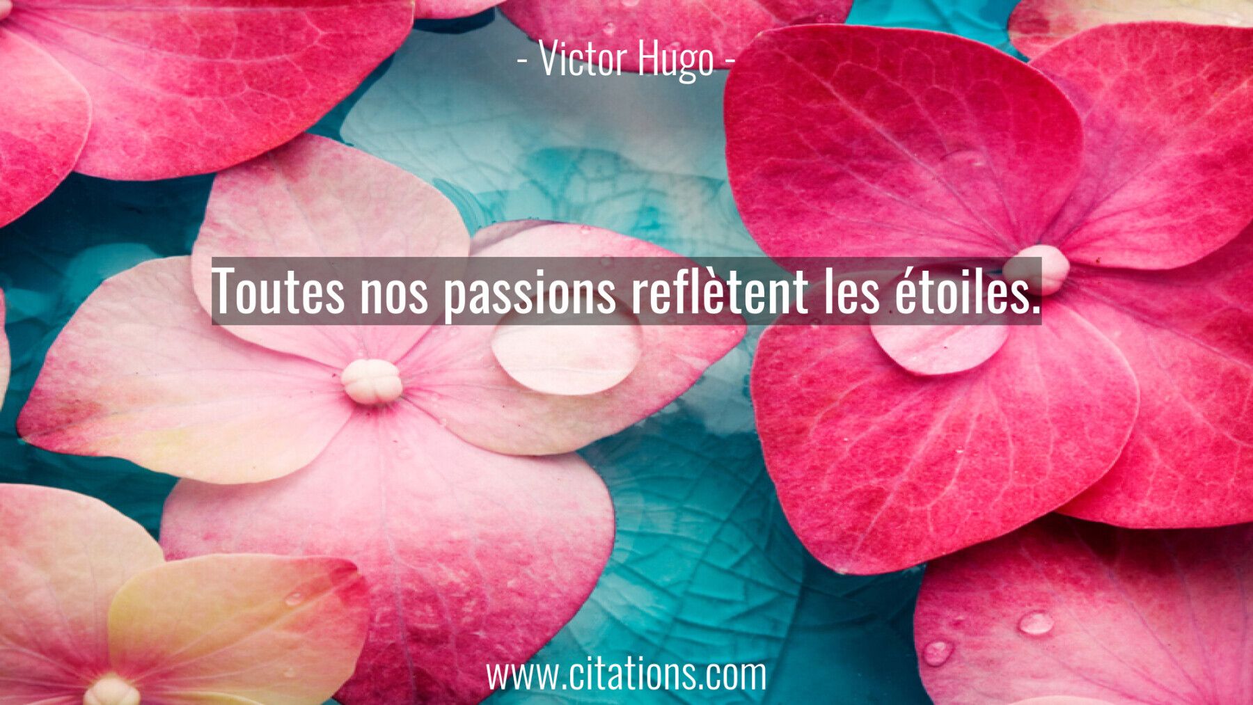 Toutes nos passions reflètent les étoiles.