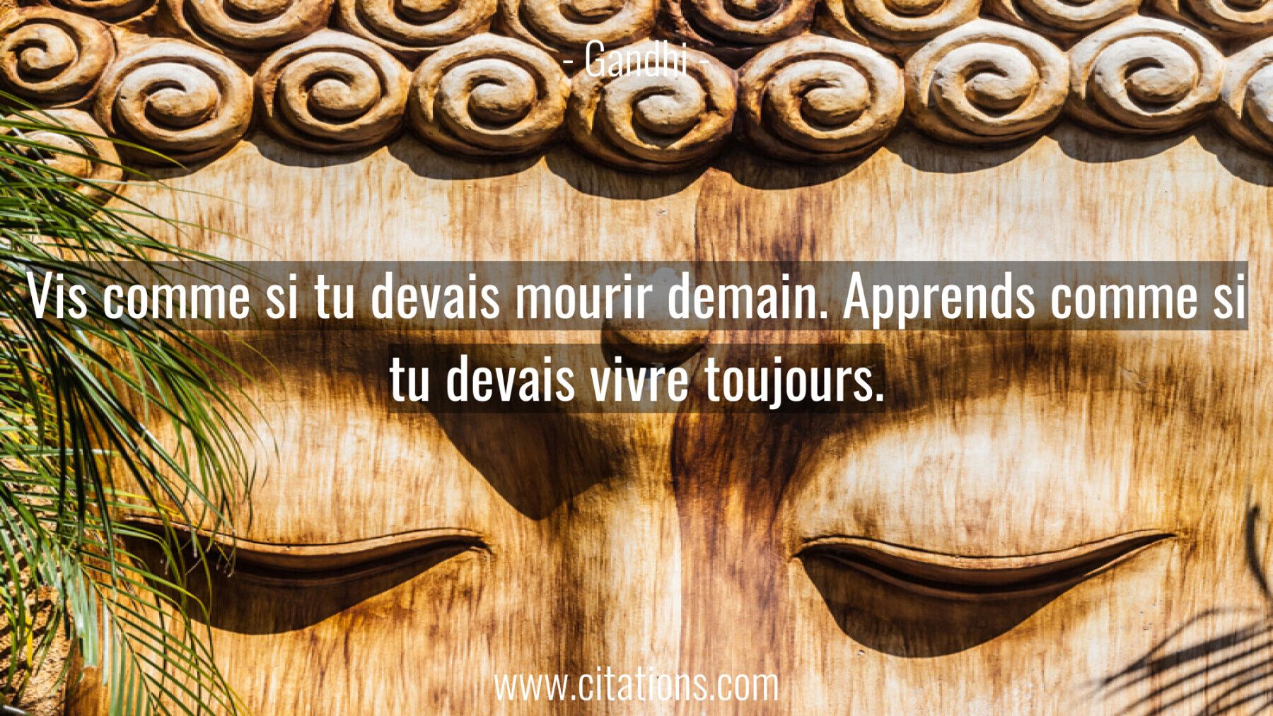 Vis comme si tu devais mourir demain. Apprends comme si