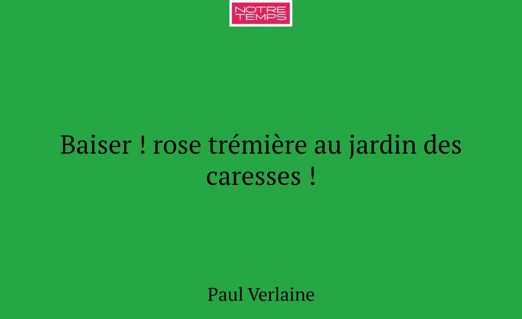 Baiser ! rose trémière au jardin des caresses !