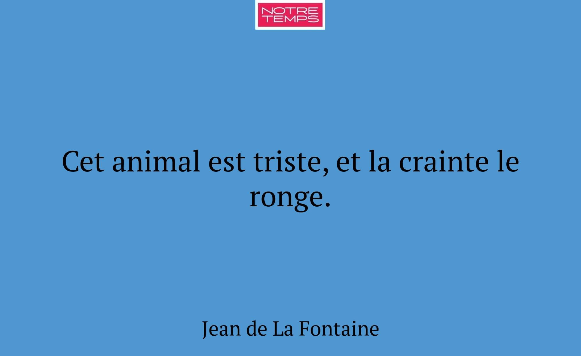 Cet animal est triste, et la crainte le ronge.