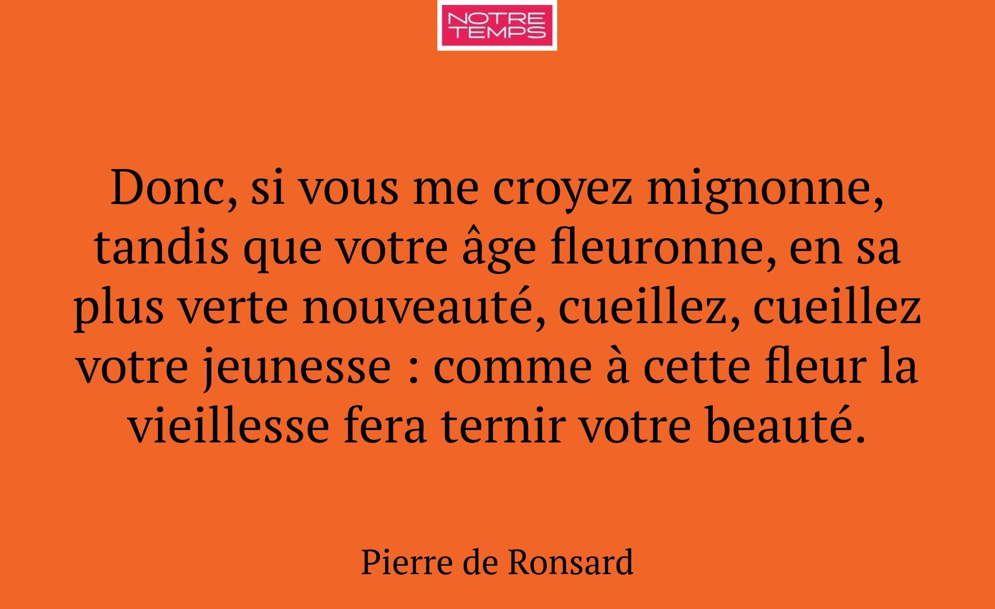 Donc, si vous me croyez mignonne, tandis que votre...