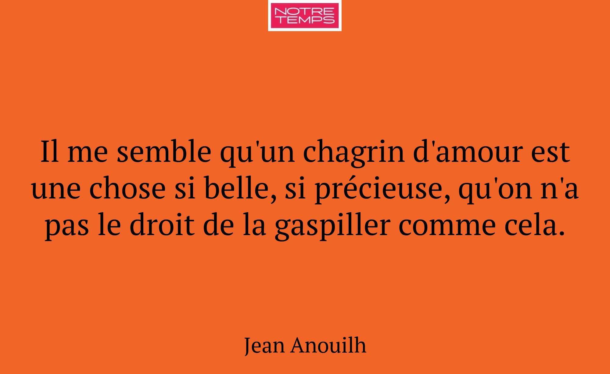 Il me semble qu'un chagrin d'amour est une chose s...