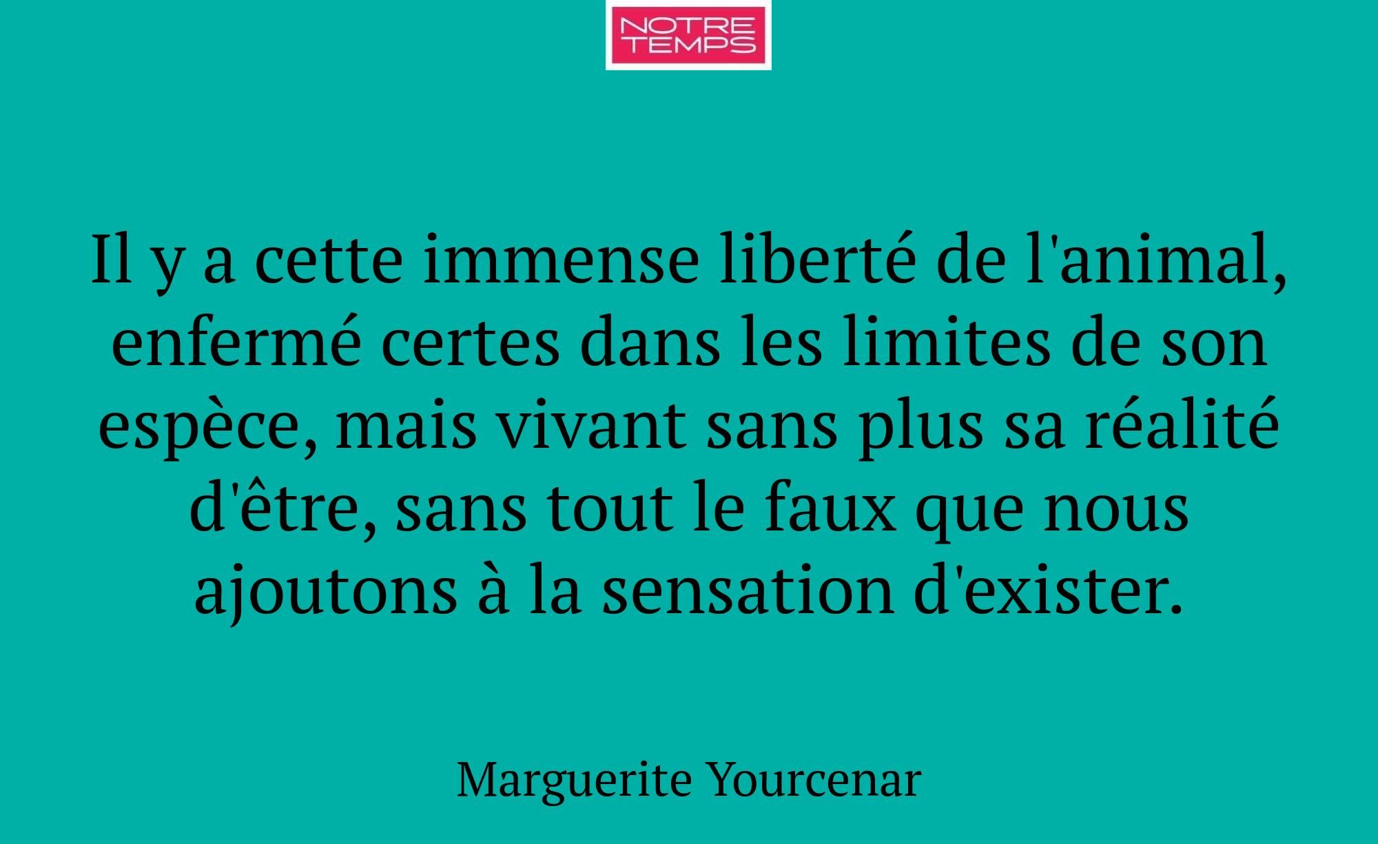 Il y a cette immense liberté de l'animal, enfermé...