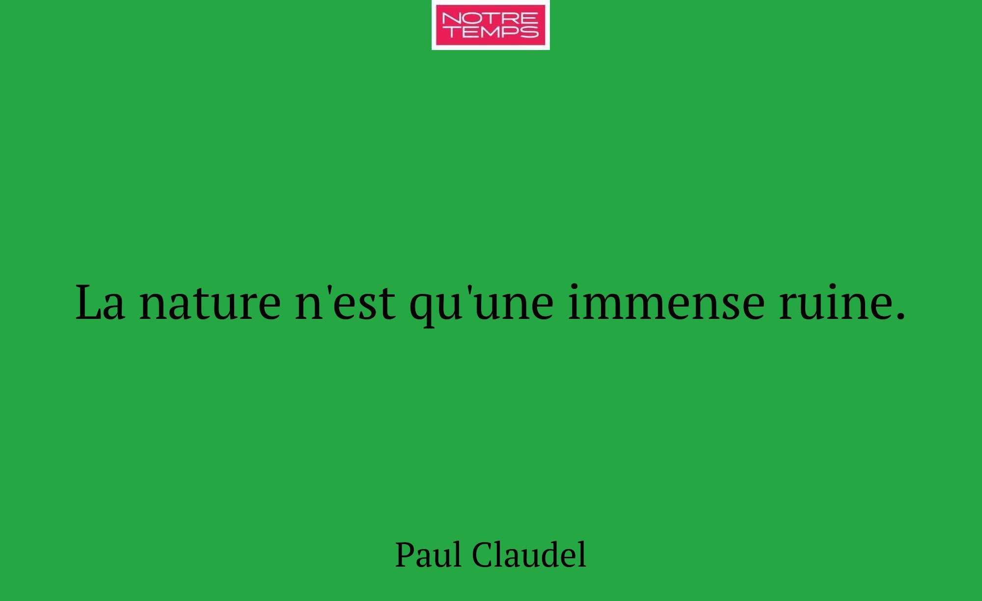 La nature n'est qu'une immense ruine.