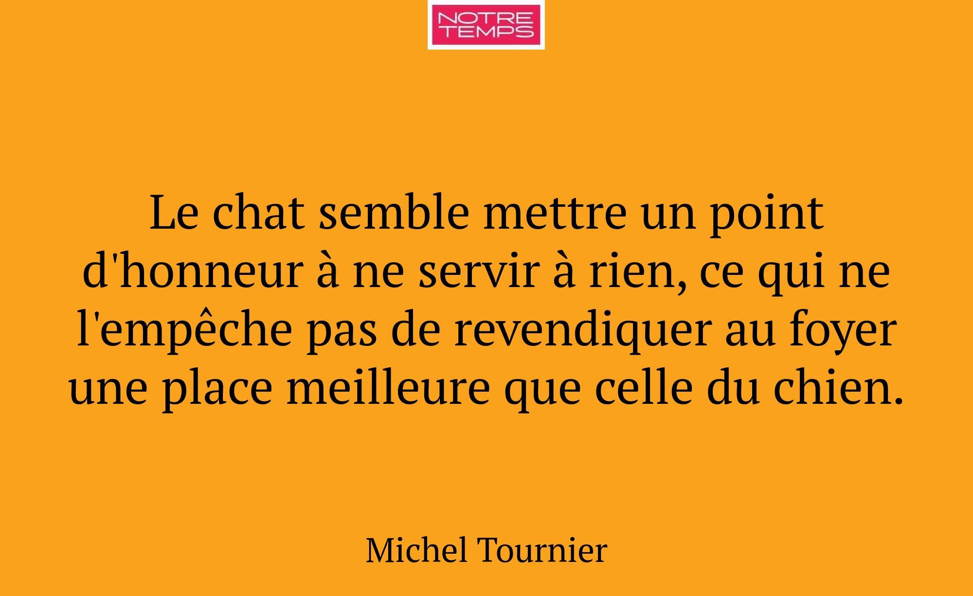 Le chat semble mettre un point d'honneur à ne serv...