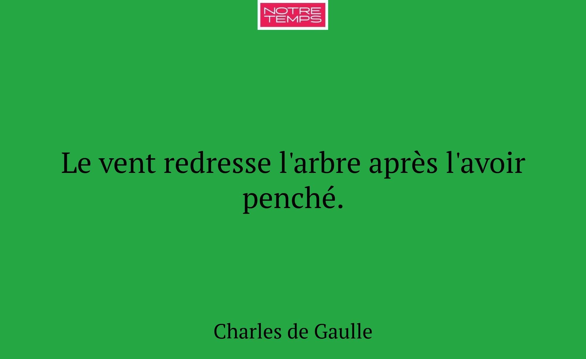 Le vent redresse l'arbre après l'avoir penché.