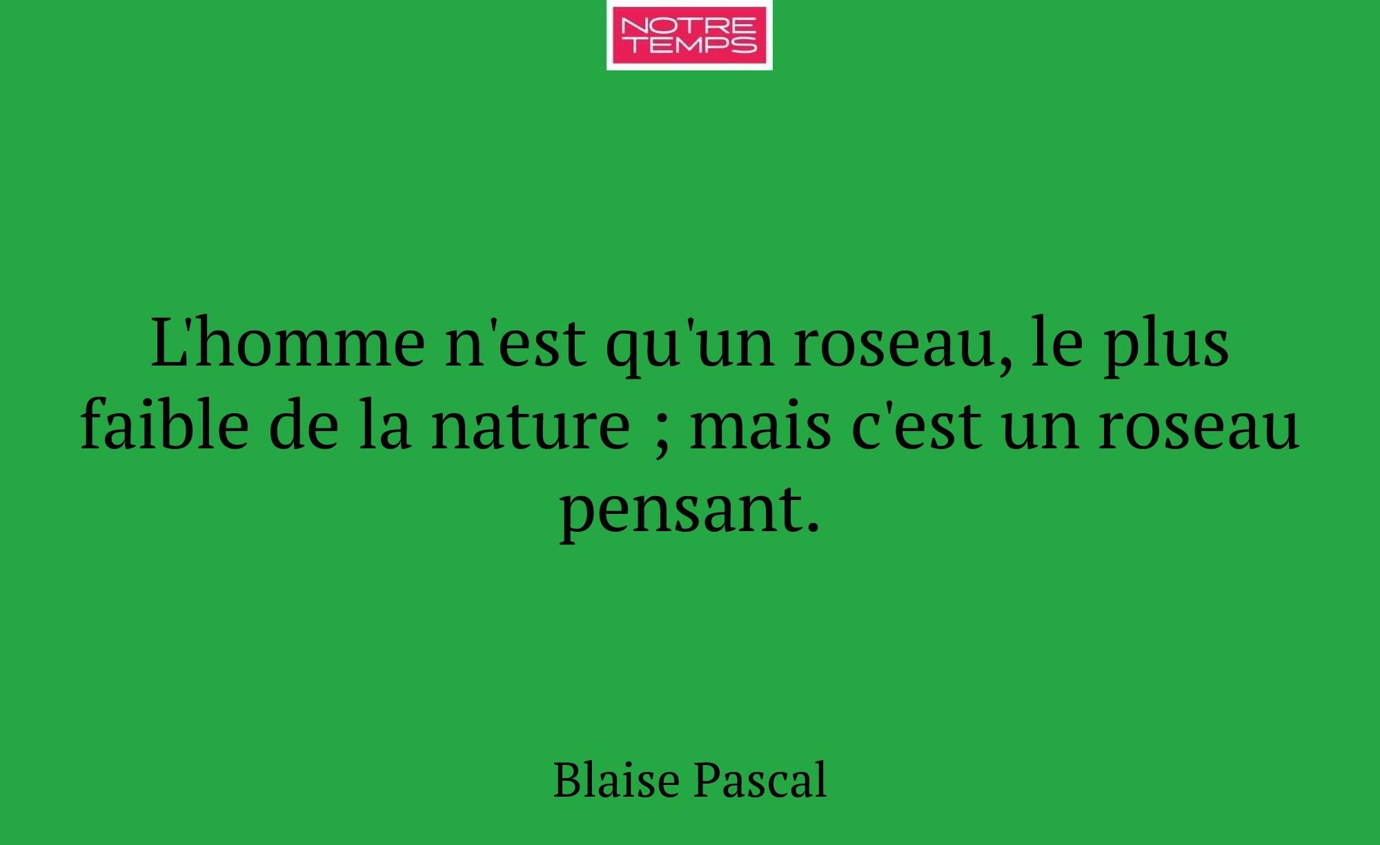 L'homme n'est qu'un roseau, le plus faible de la n...