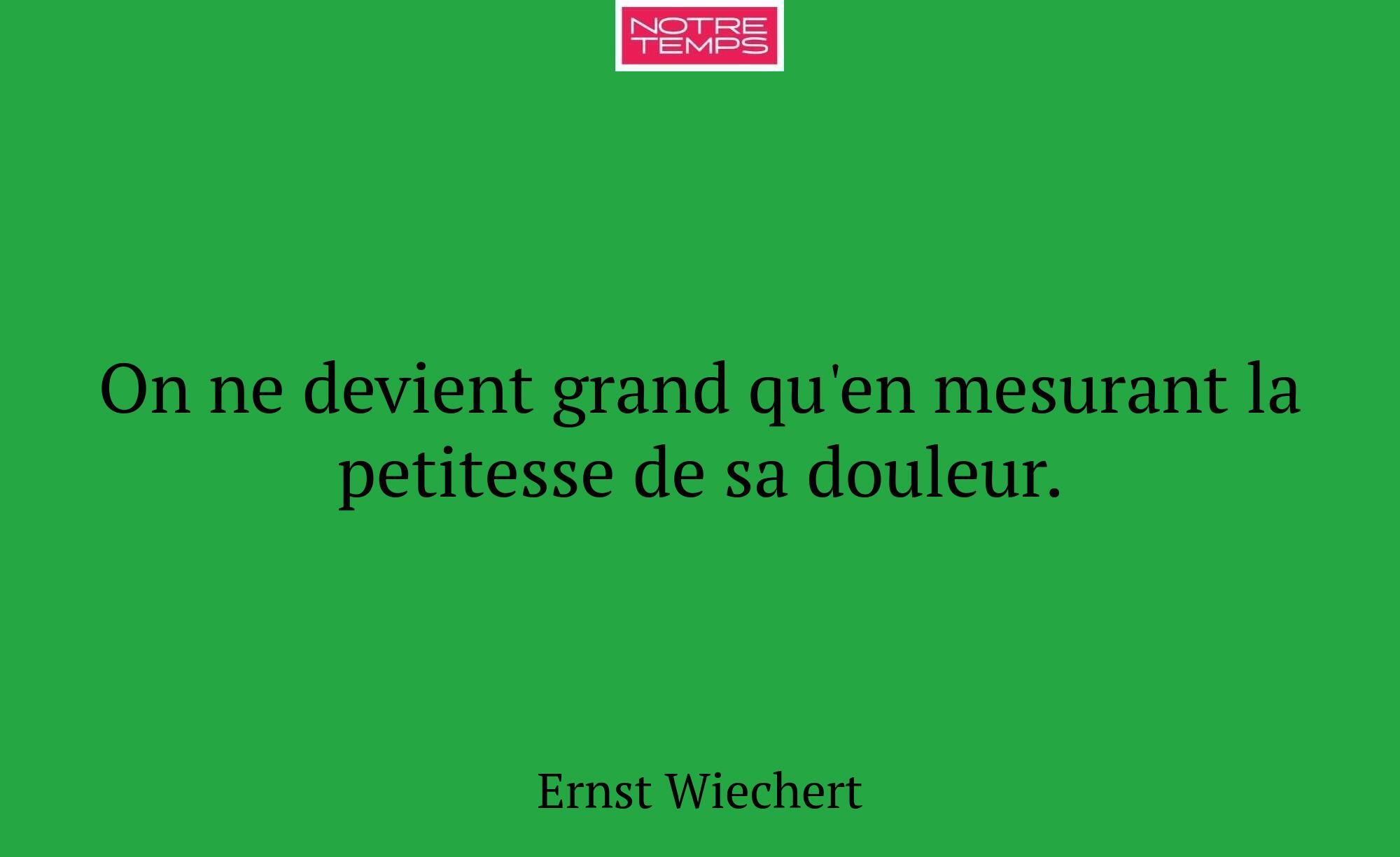 On ne devient grand qu'en mesurant la petitesse de...