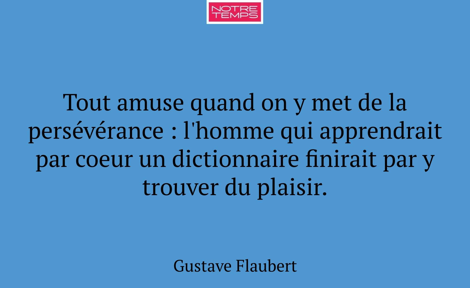 Tout amuse quand on y met de la persévérance : l'h...