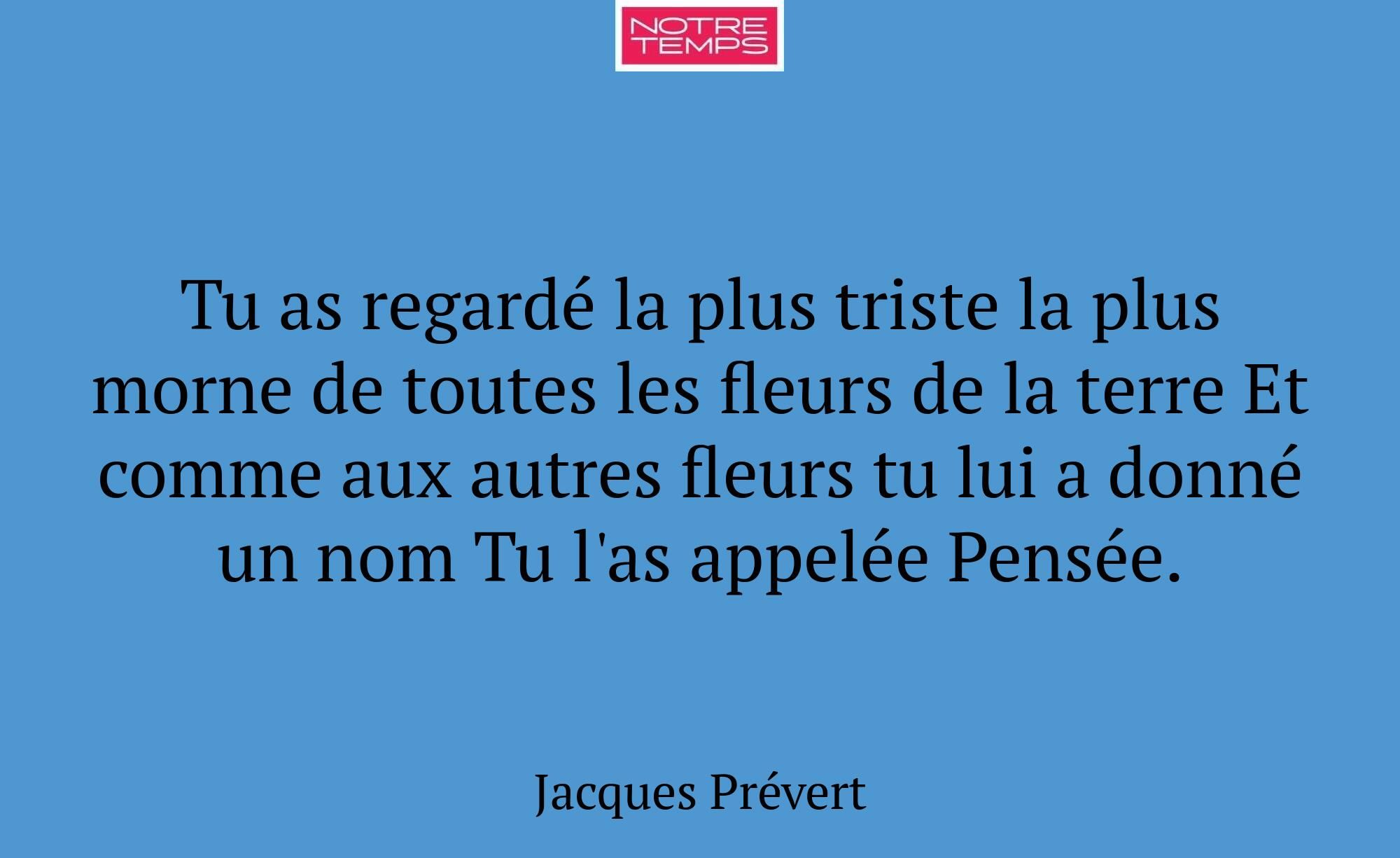 Tu as regardé la plus triste la plus morne de tout...