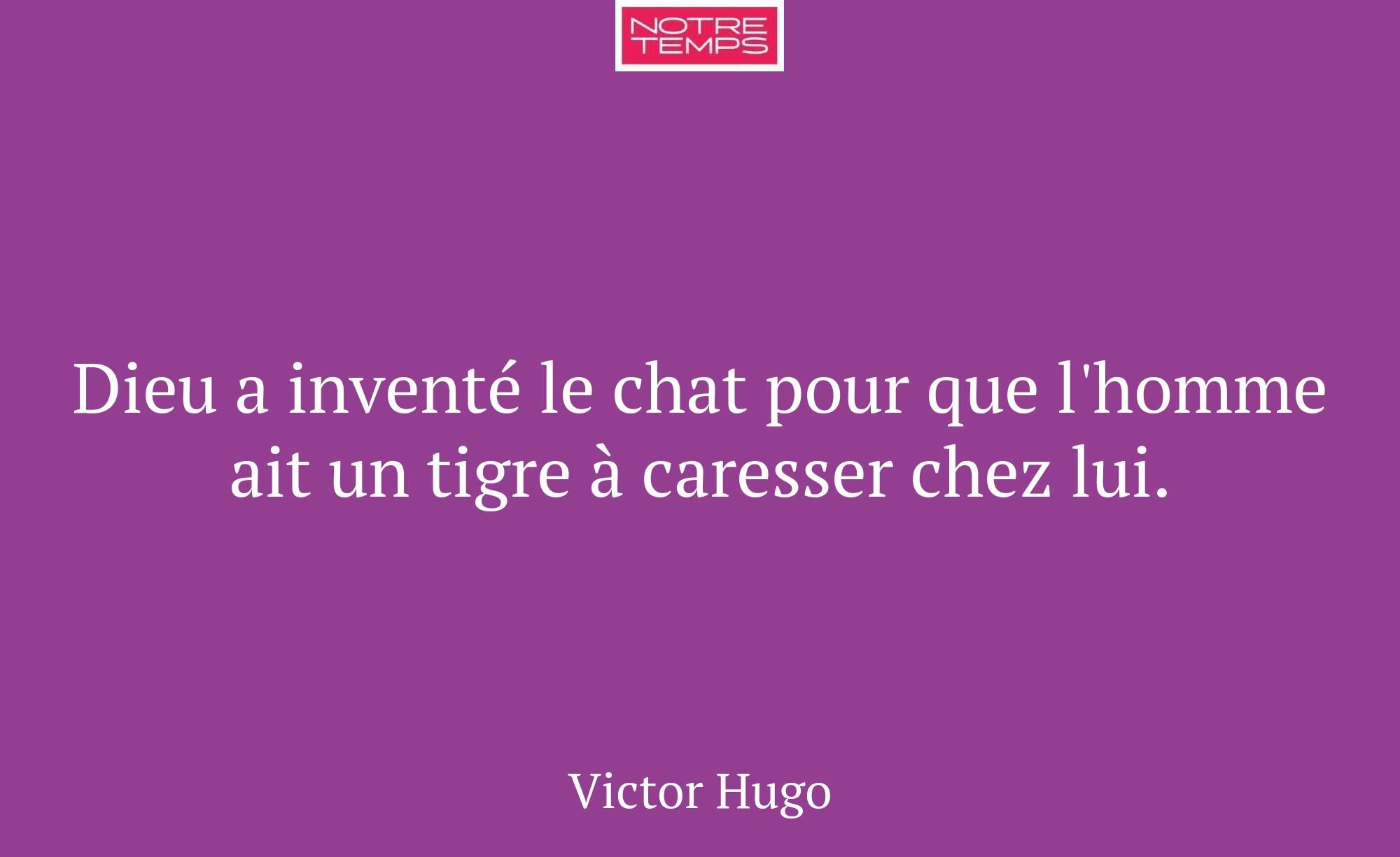 Dieu a inventé le chat pour que l'homme ait un tig...