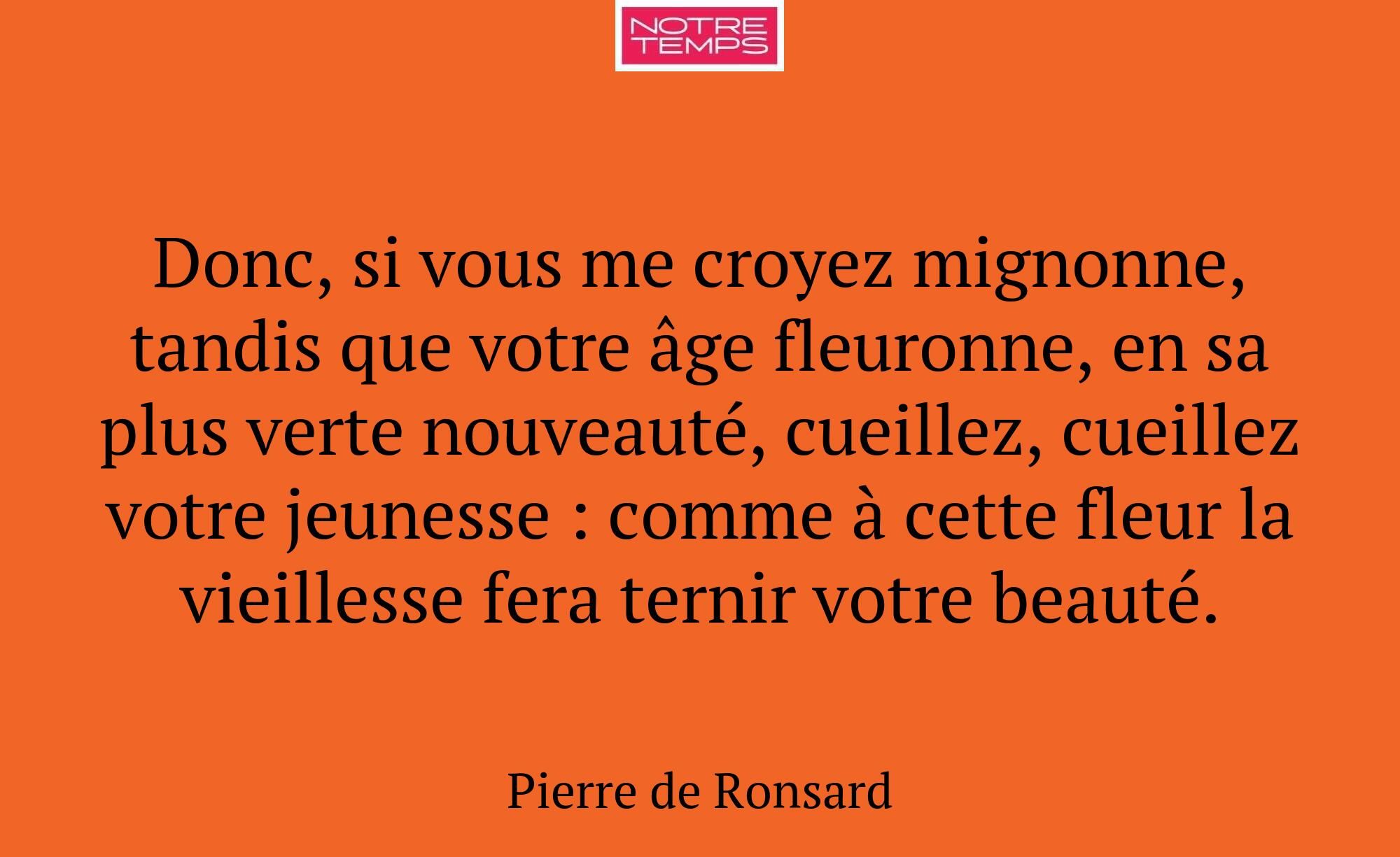 Donc, si vous me croyez mignonne, tandis que votre...