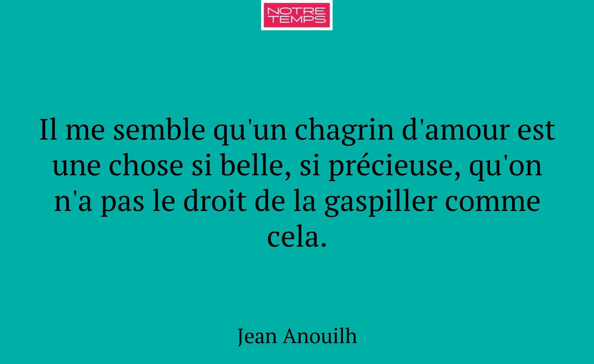 Il me semble qu'un chagrin d'amour est une chose s...