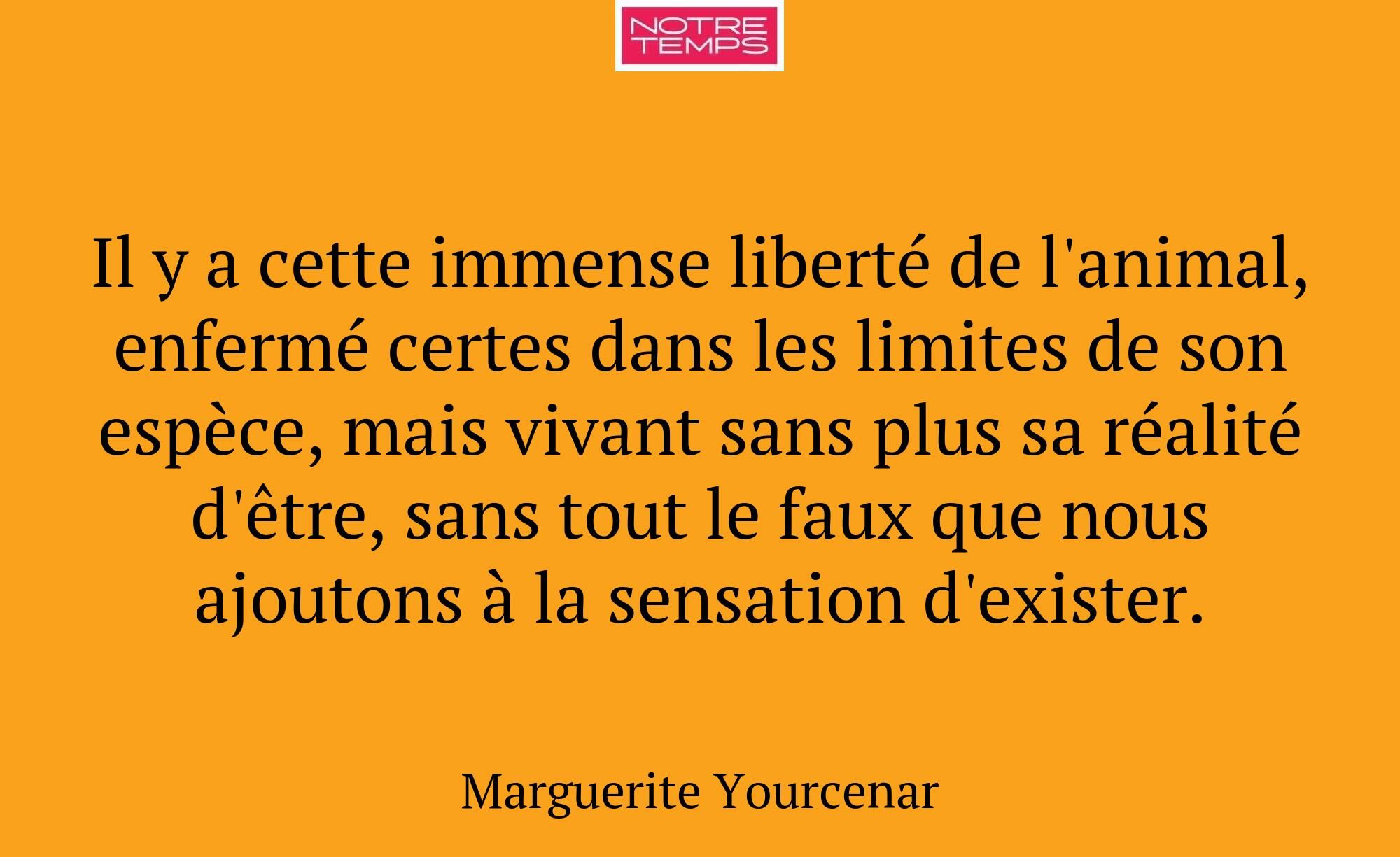 Il y a cette immense liberté de l'animal, enfermé...