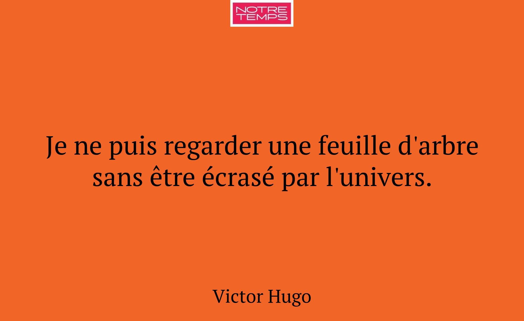 Je ne puis regarder une feuille d'arbre sans être...