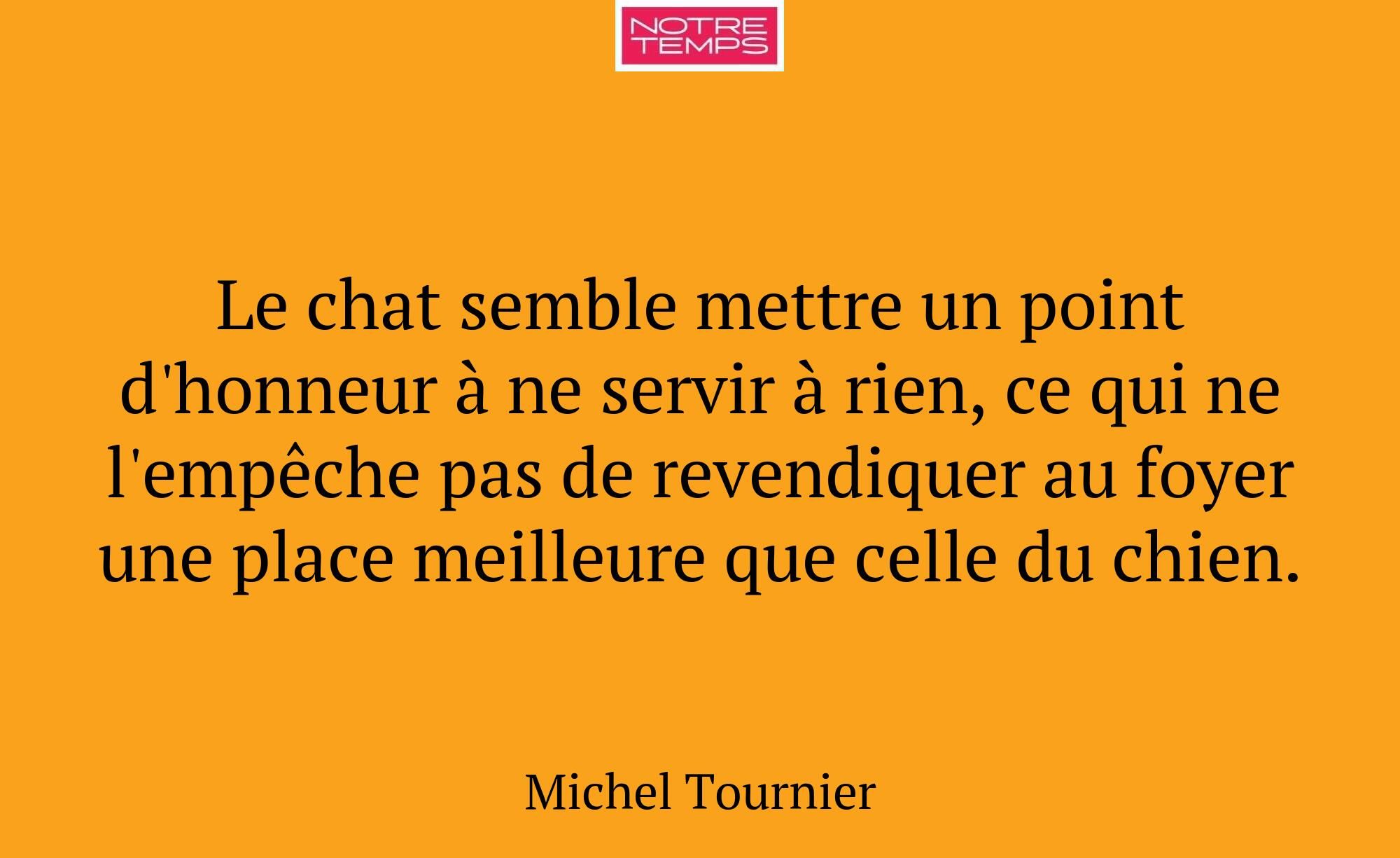 Le chat semble mettre un point d'honneur à ne serv...