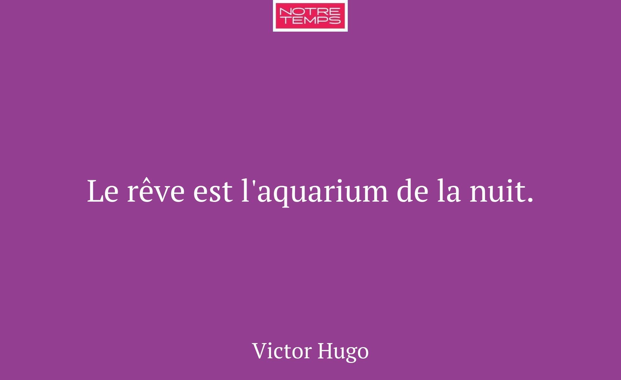 Le rêve est l'aquarium de la nuit.