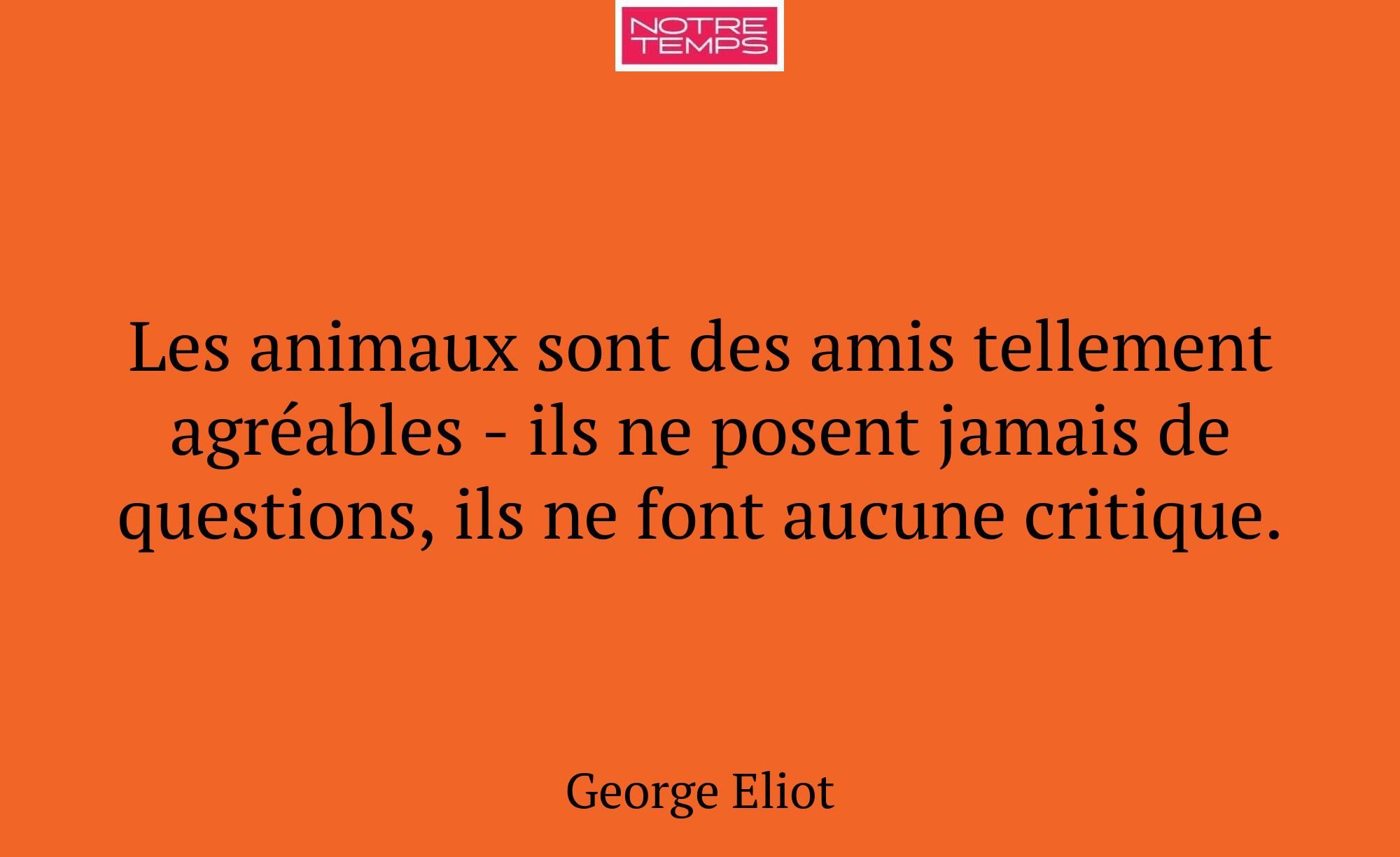 Les animaux sont des amis tellement agréables - il...