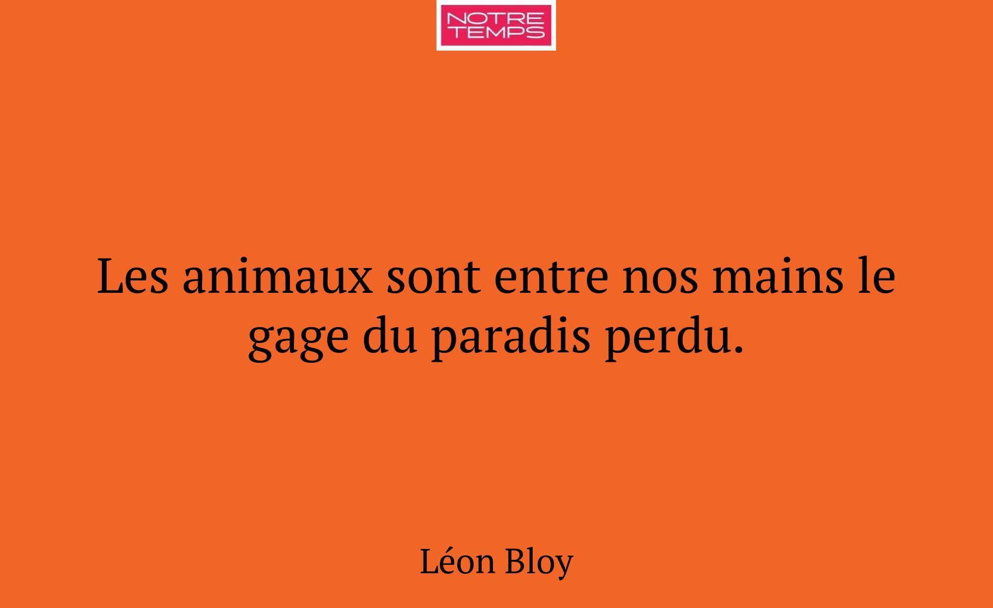 Les animaux sont entre nos mains le gage du paradi...