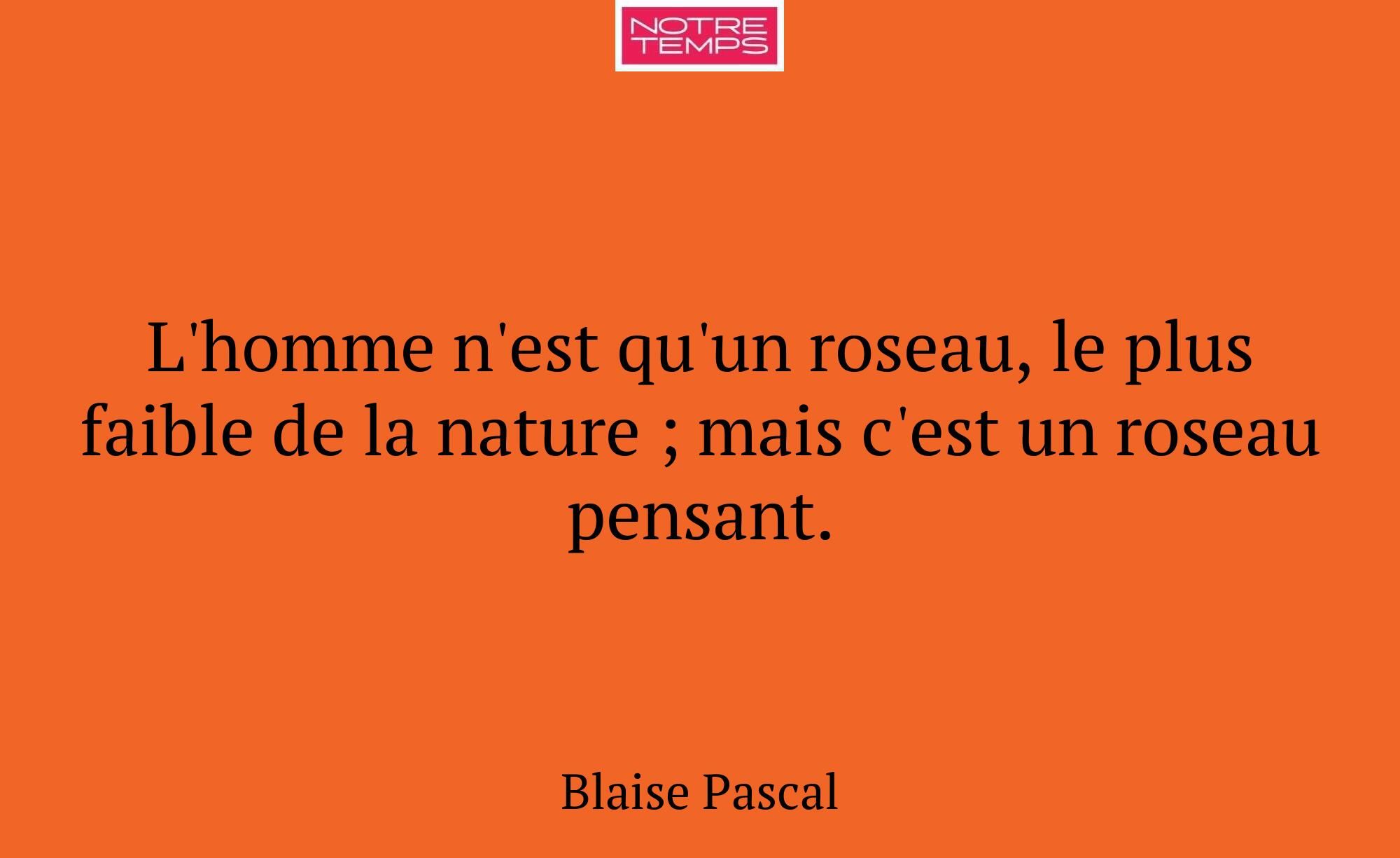 L'homme n'est qu'un roseau, le plus faible de la n...