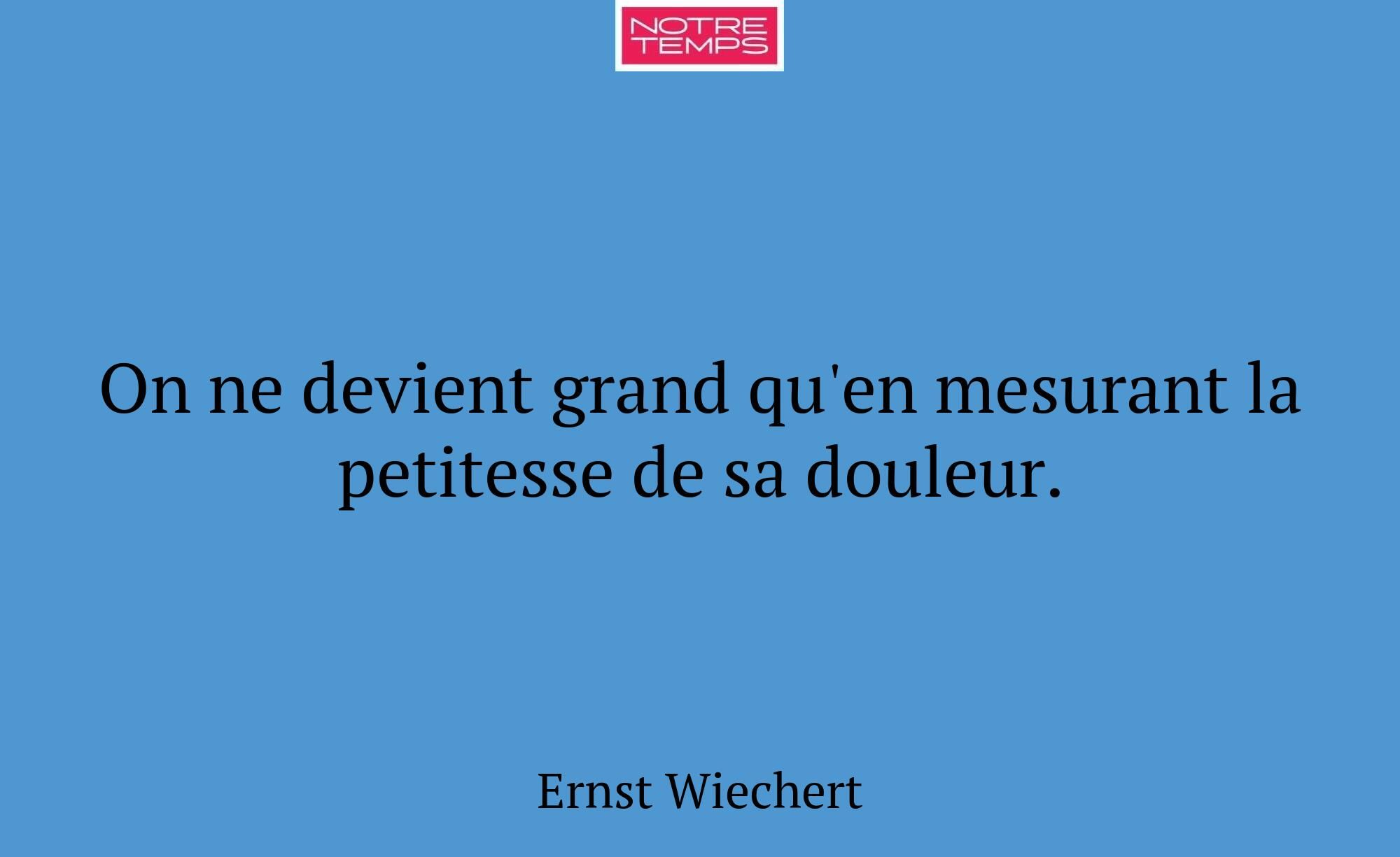 On ne devient grand qu'en mesurant la petitesse de...