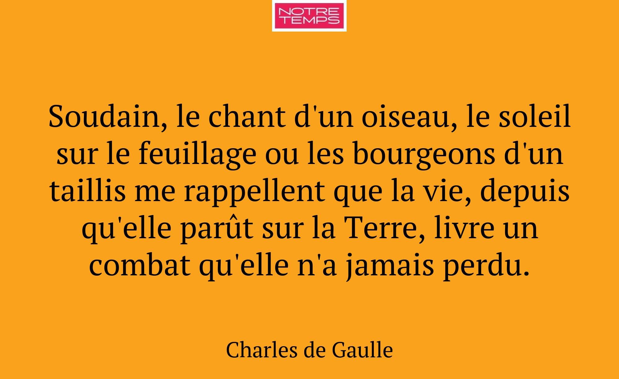 Soudain, le chant d'un oiseau, le soleil sur le fe...