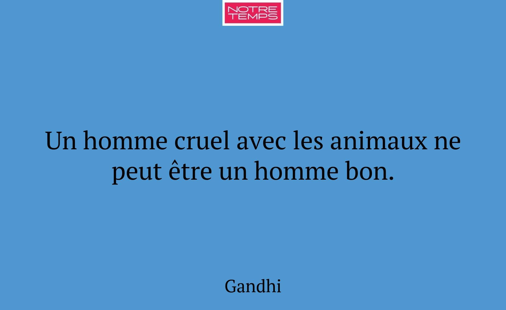 Un homme cruel avec les animaux ne peut être un ho...
