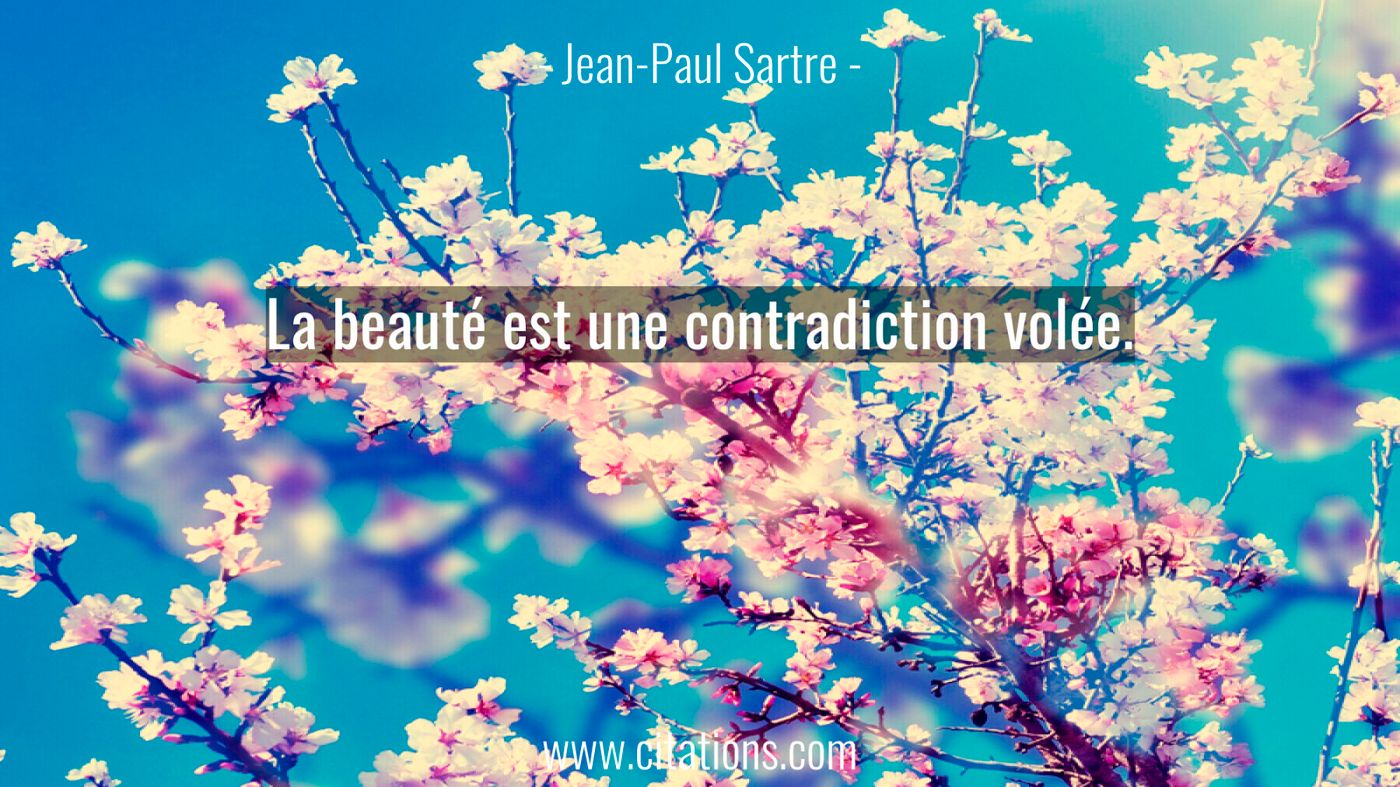 La beauté est une contradiction volée.