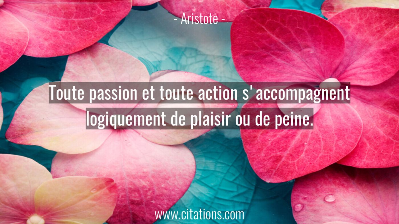 Toute passion et toute action s'accompagnent logiquement de plaisir ou de peine.
