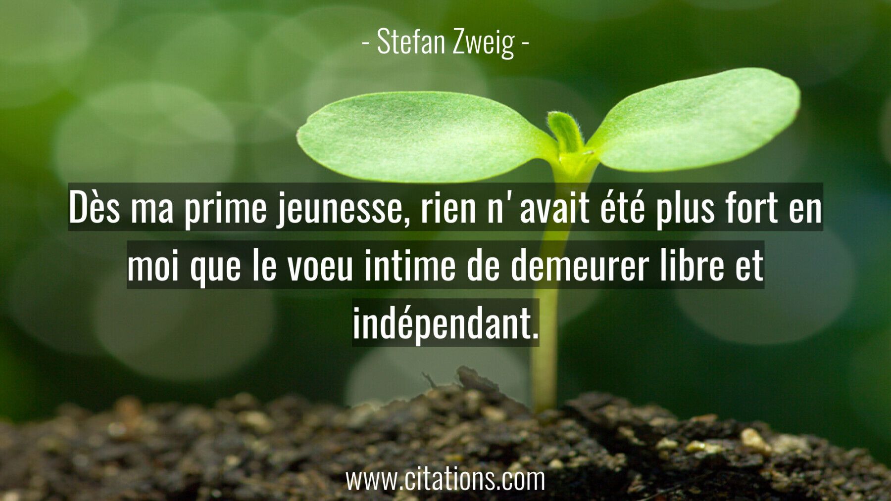 Des Ma Prime Jeunesse Rien N Avait Ete Plus Fort En Moi Que Le Voeu