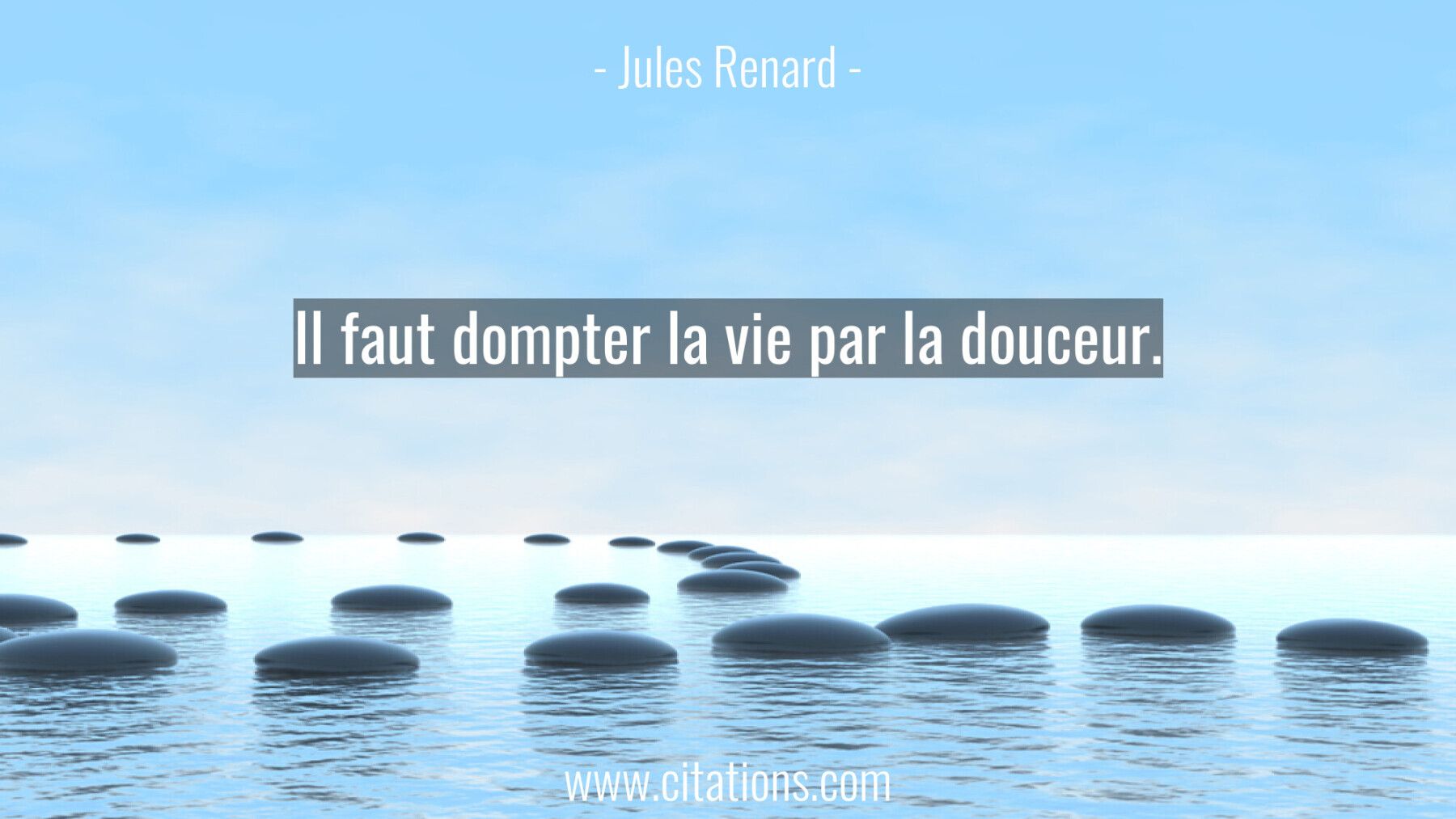 Il faut dompter la vie par la douceur.