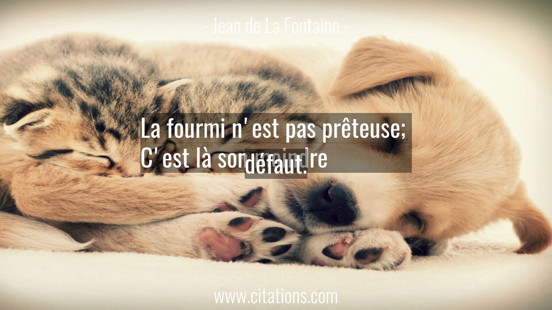 La Fourmi N Est Pas Preteuse C Est La Son Moindre Defaut