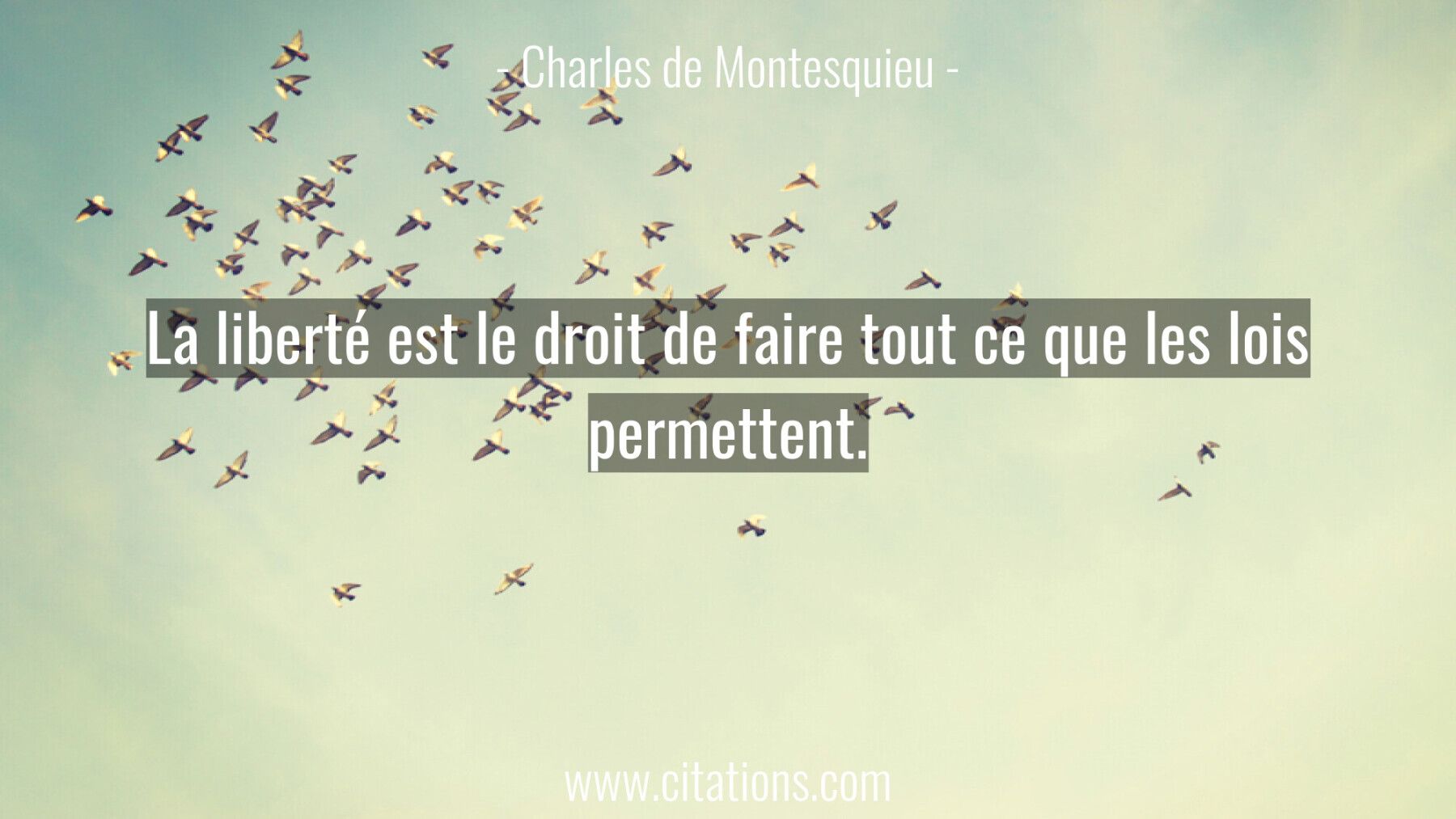 La Liberte Est Le Droit De Faire Tout Ce Que Les Lois Permettent