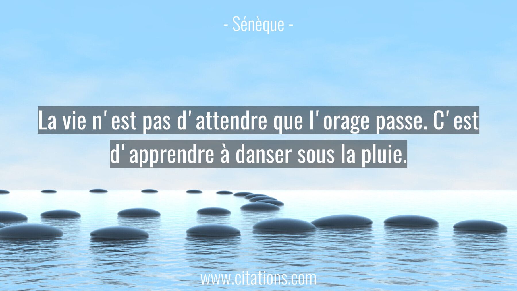 La Vie N Est Pas D Attendre Que L Orage Passe C Est D Apprendre A