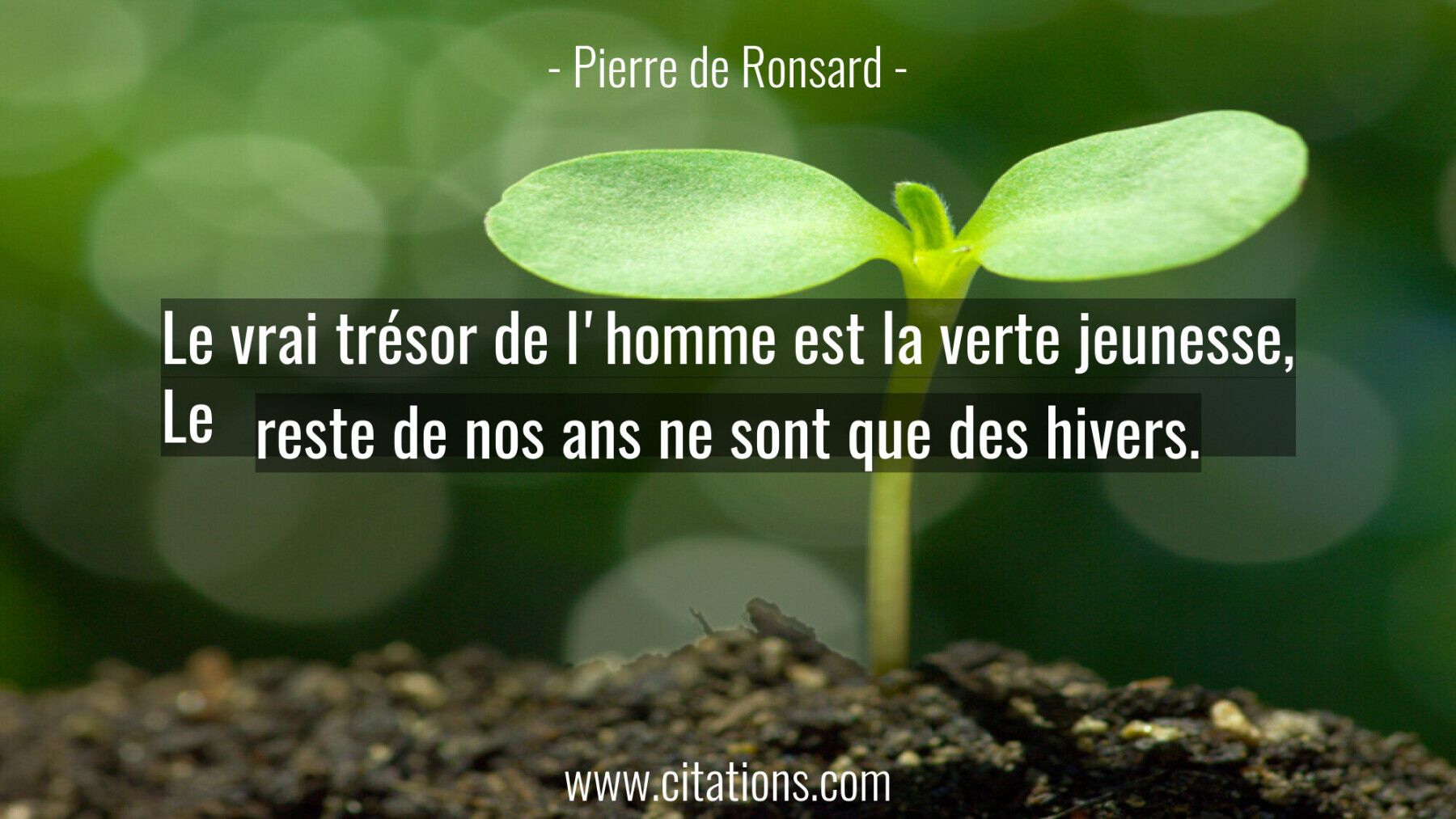 Le Vrai Tresor De L Homme Est La Verte Jeunesse Le Reste De Nos Ans Ne