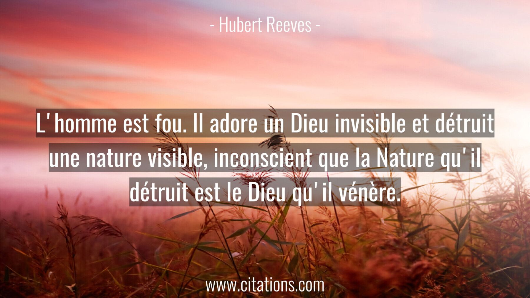 L Homme Est Fou Il Adore Un Dieu Invisible Et Detruit Une Nature