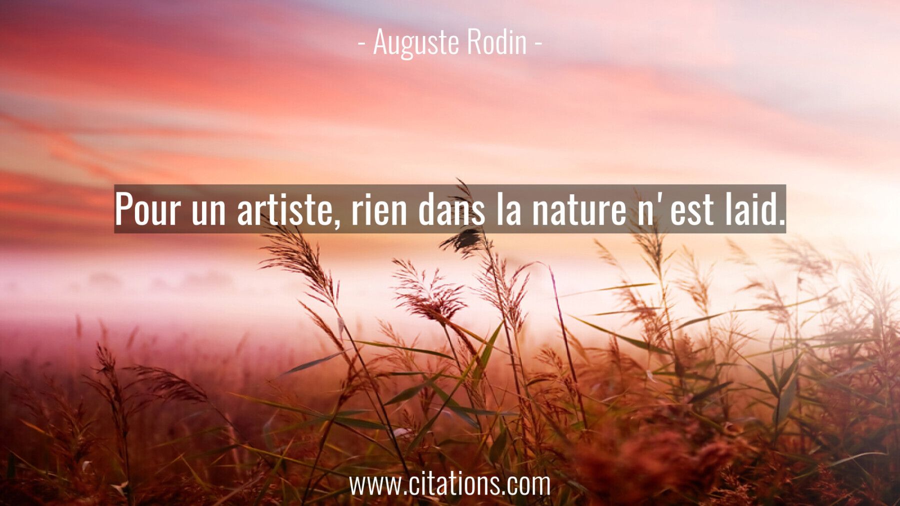 Pour Un Artiste Rien Dans La Nature N Est Laid