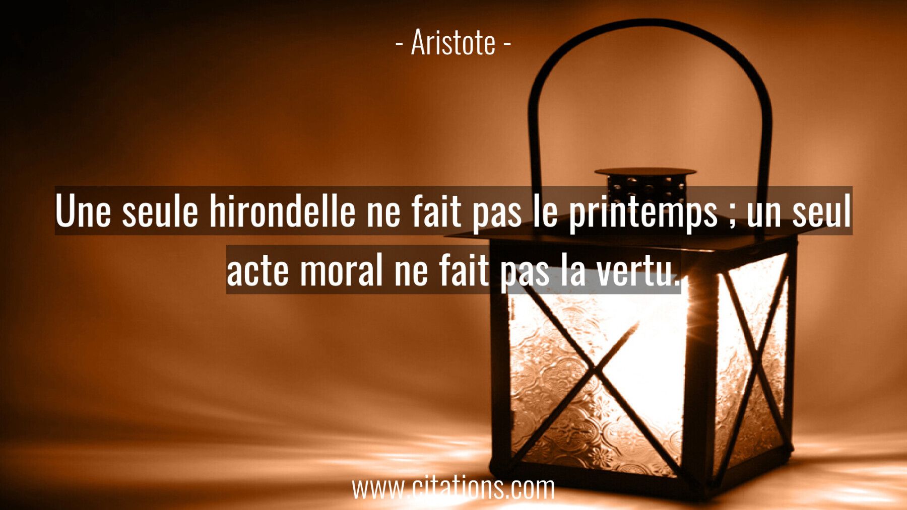 Une Seule Hirondelle Ne Fait Pas Le Printemps Un Seul Acte Moral Ne