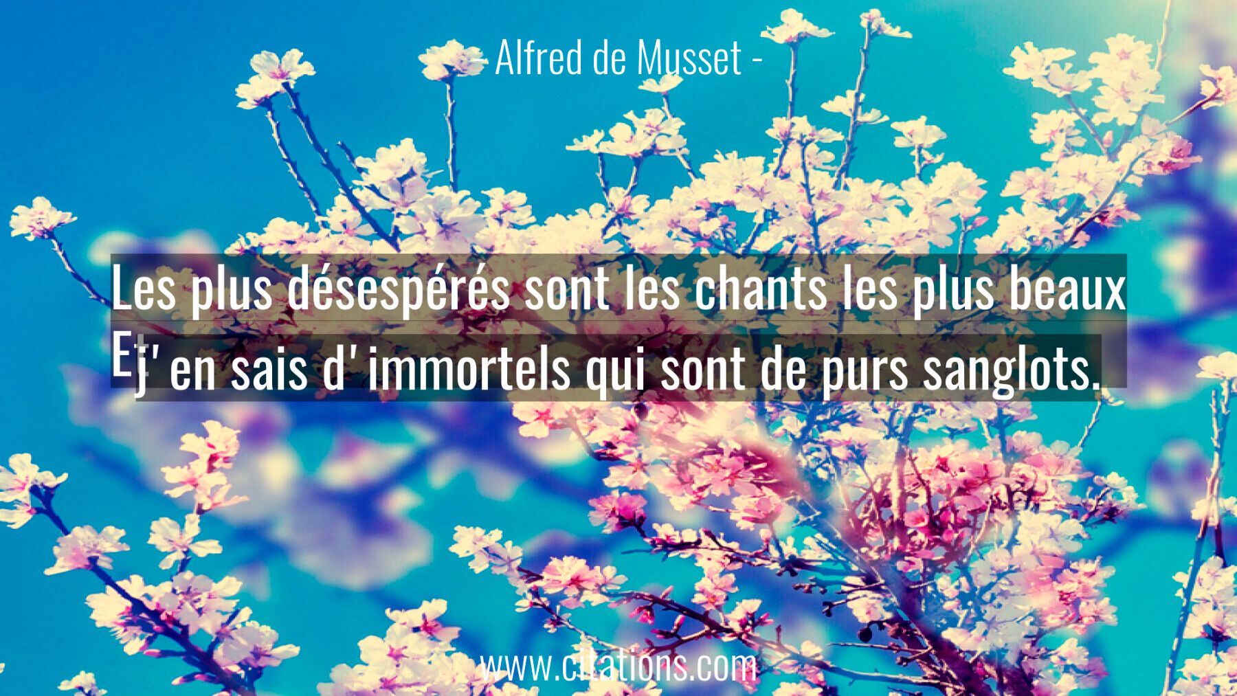Les Chants Désespérés Sont Les Chants Les Plus Beaux Les plus désespérés sont les chants les plus beaux Et j'en sais d