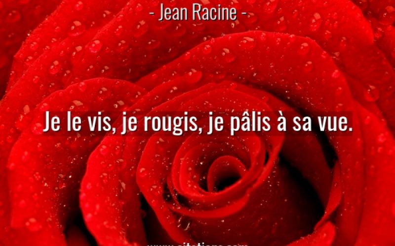 Je Le Vis Je Rougis Je Pâlis à Sa Vue