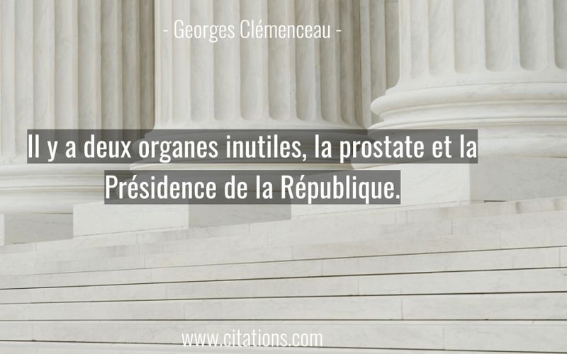 Il y a deux organes inutiles, la prostate et la Présidence de la République.
