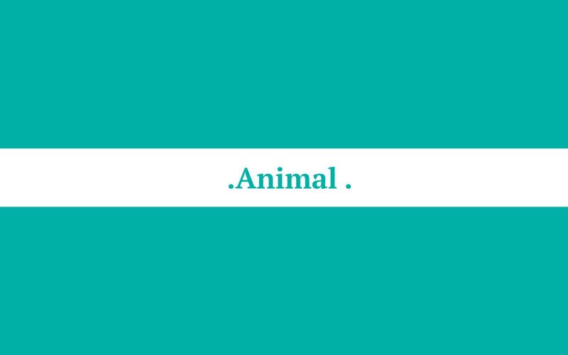 Animal