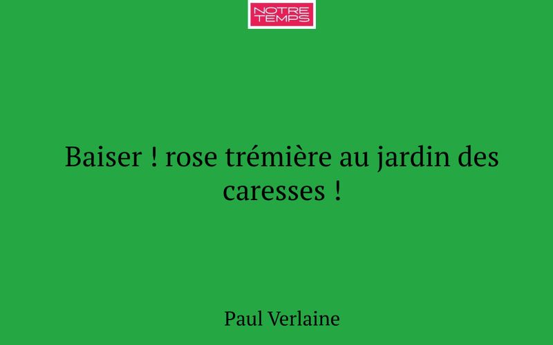Baiser ! rose trémière au jardin des caresses !