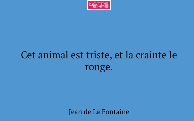 Cet animal est triste, et la crainte le ronge.