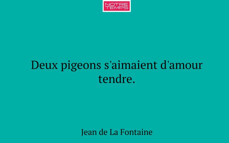 Deux pigeons s'aimaient d'amour tendre.